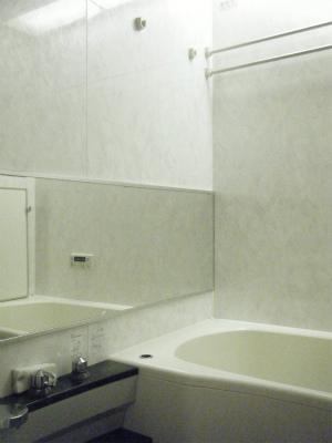 Bathroom. Indoor (July 2013) Shooting