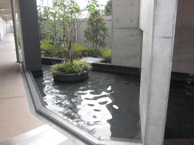 Entrance. Common areas