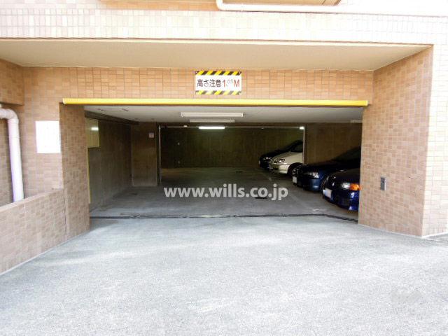 Parking lot. Common areas