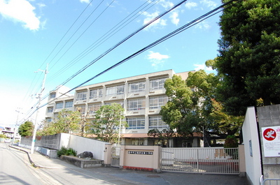 Primary school. Sakurai Tanihigashi 350m up to elementary school (elementary school)