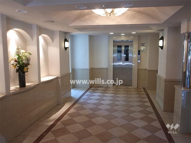 Other common areas. Luxurious atmosphere of the entrance hall cabinet and domed ceiling is provided