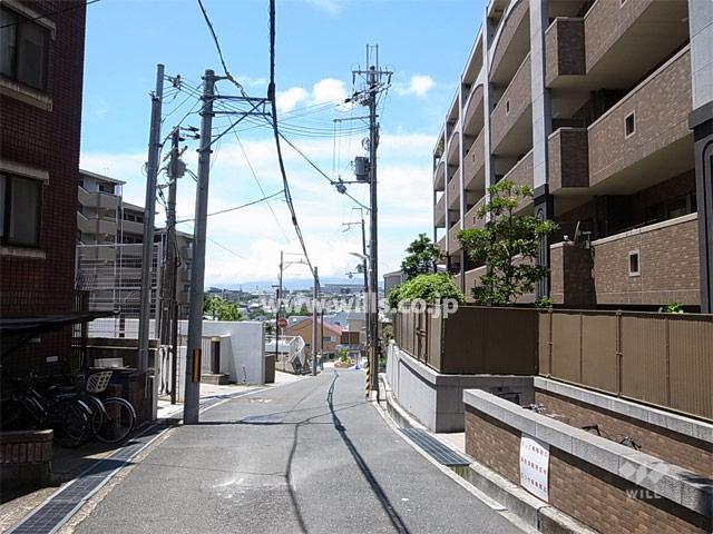 Other local. South front road of the site. There is a little hill.