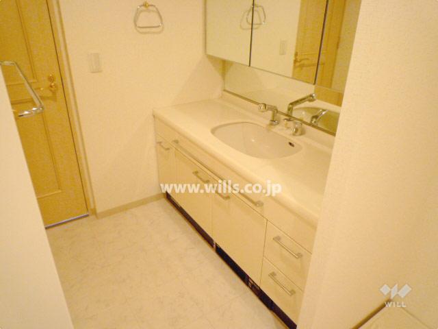 Wash basin, toilet. Vanity counter is spread
