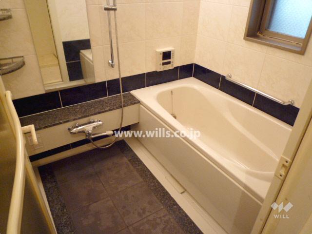 Bathroom. With bathroom heating dryer