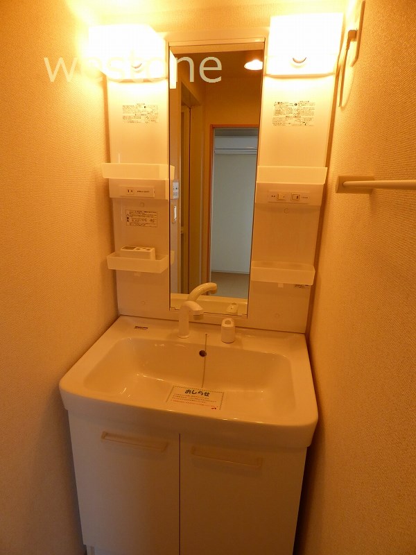 Washroom. Vanity with shower