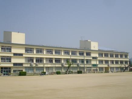 Primary school. Yang Ming Elementary School