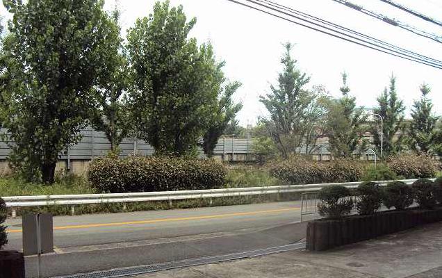 View photos from the dwelling unit. ■ Lush landscape has spread from the window