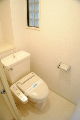 Toilet. Washlet feature toilet