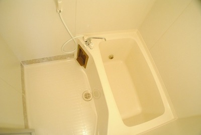 Bath. Bathroom heal the tired. Reheating function with bathroom. 