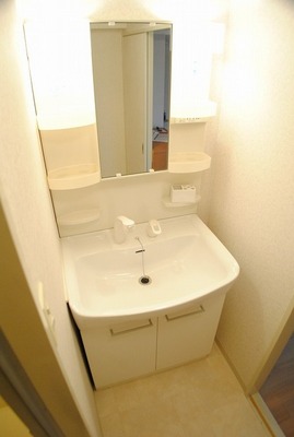 Washroom. Shampoo dresser with separate wash basin