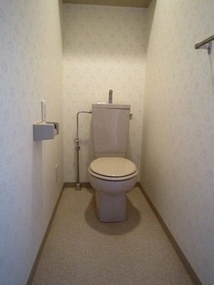 Toilet. Because we use a photo of the same type of room before renovation