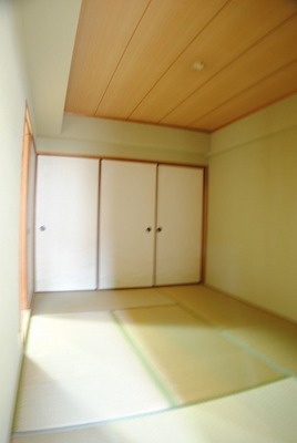 Other room space. Is a Japanese-style room