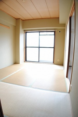 Other room space. Bright Japanese-style room