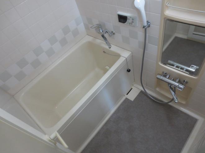 Bathroom. System bus