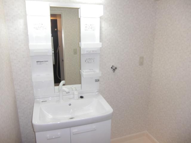Wash basin, toilet. Vanity had made