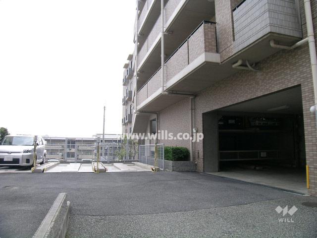Parking lot. Common areas