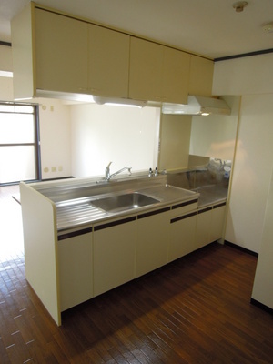 Kitchen. Convenient counter kitchen