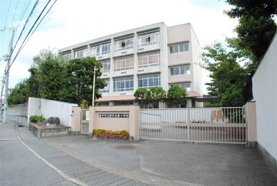 Primary school. Sakurai Tanihigashi 100m up to elementary school (elementary school)