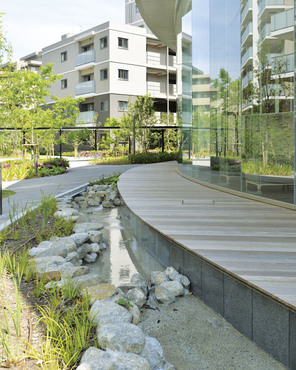 Features of the building.  [Biotope] The courtyard, "Biotope" is provided of waterfront space. Through observation, such as aquatic plants, It fosters a rich sensibility of children