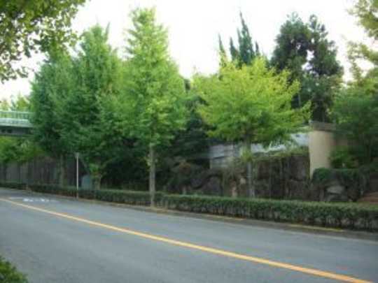Local land photo. Is the appearance photo from the north.