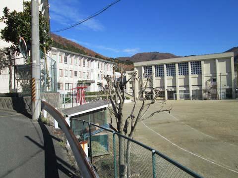 Primary school. 1500m until Yoshikawa Elementary School