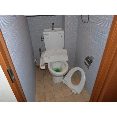 Toilet