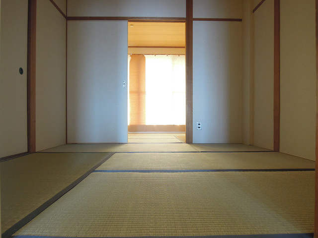 Other room space. Japanese style room