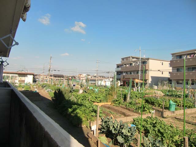 Balcony. balcony! 