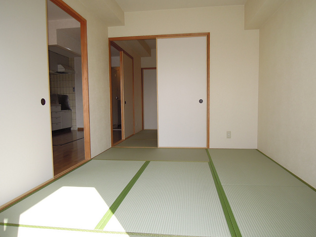 Other room space. Japanese style room