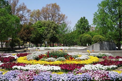 park. The Kyuhoji park early summer wind was blowing refreshing (April 2013 shooting)