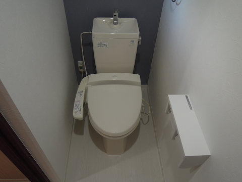 Toilet. Warm water washing toilet seat