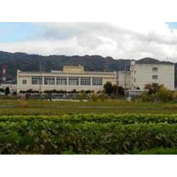 Junior high school. Yao Tatsuakebono Kawaminami until junior high school 830m