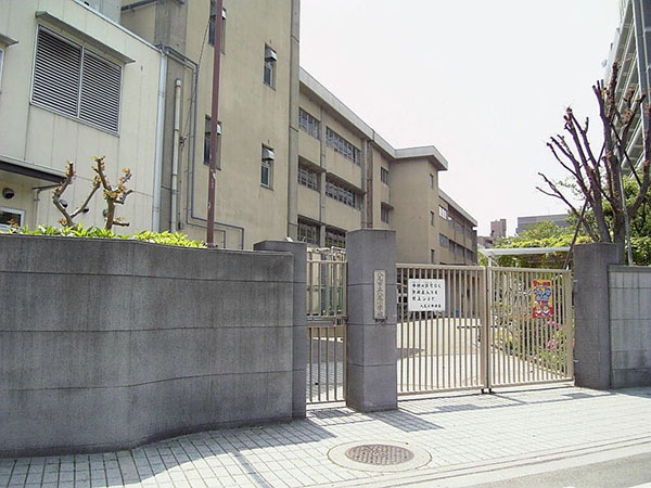 Primary school. 587m until Yao elementary school (elementary school)