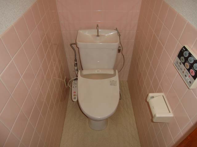 Toilet. With Washlet!