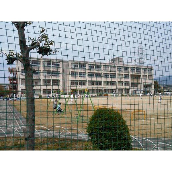 Primary school. 640m until Yao Municipal Nishiyamamoto elementary school (elementary school)