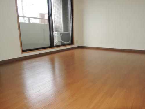 Living and room. Living