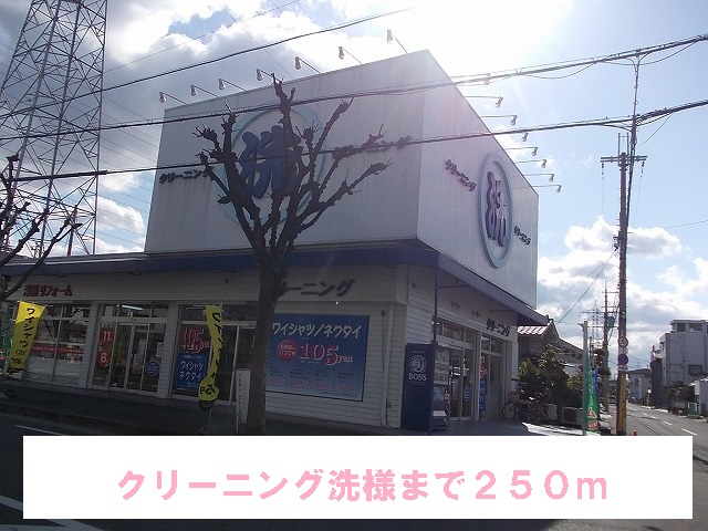 Other. 250m until the cleaning wash like (Other)