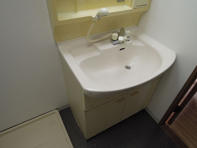 Washroom. Shampoo dresser