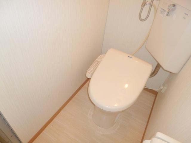 Toilet. It is a high-function toilet