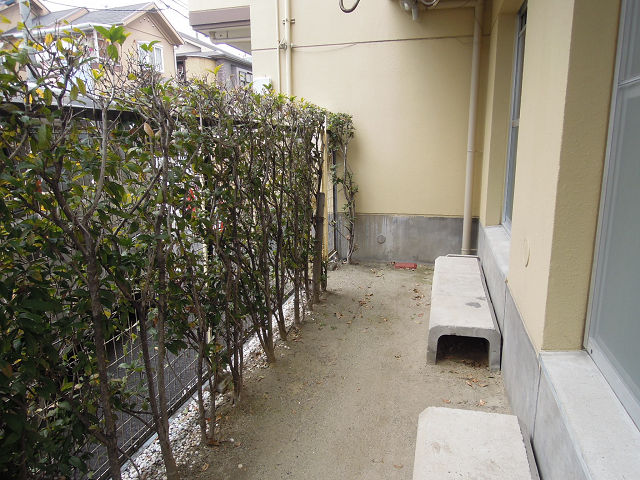 Balcony. South-facing private garden