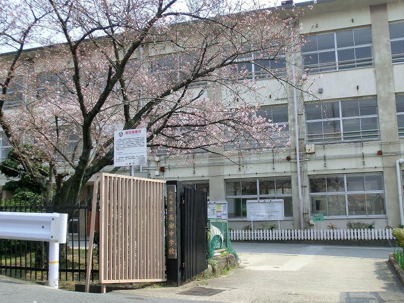 Junior high school. 904m until Yao City Takayasu's junior high school