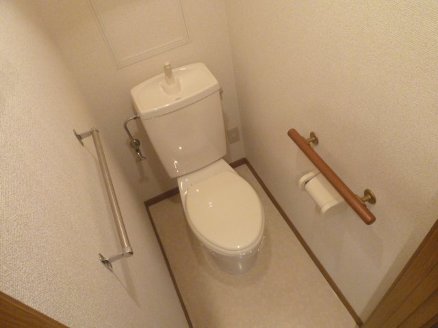 Toilet. Handrail is attached. 