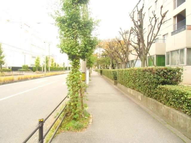 Other. Storage is abundant