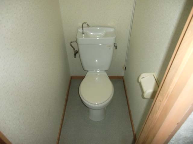 Toilet. Western-style toilet!