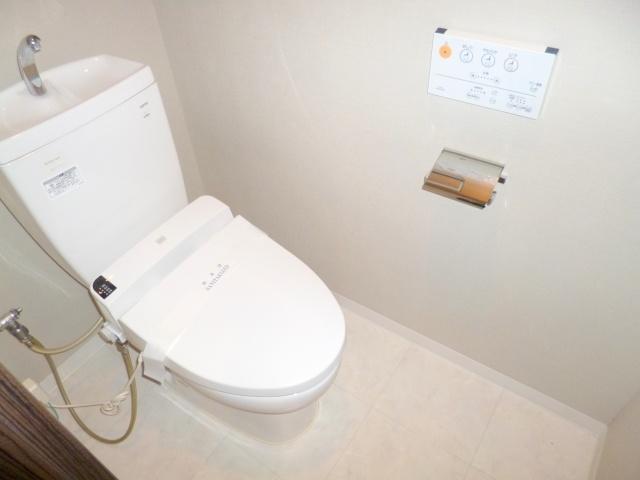 Toilet. It is a high-function toilet