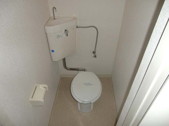 Toilet. Western-style toilet!