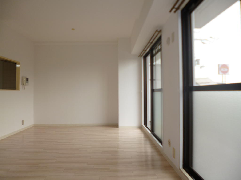 Living and room. Bright living room facing the balcony