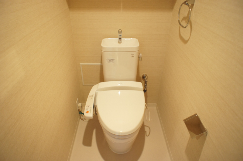 Toilet. Washlet toilet