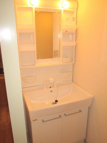 Wash basin, toilet. I had made shampoo dresser