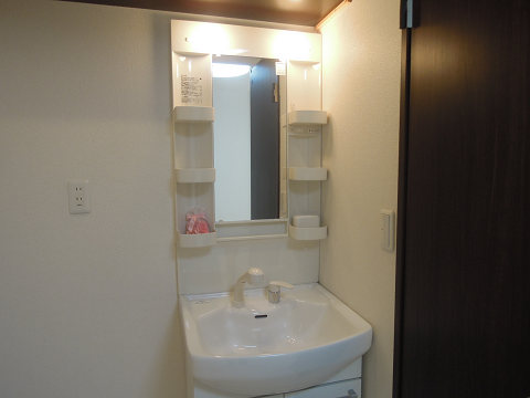 Washroom. Shampoo dresser